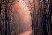 广州富力大胜取胜领跑积分榜，气势如虹