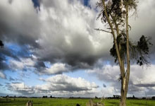 女篮世锦赛冠军诞生，美国女篮成功卫冕