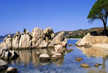 韩国夺得银牌，队员激动落泪：一场超越胜负的青春告白